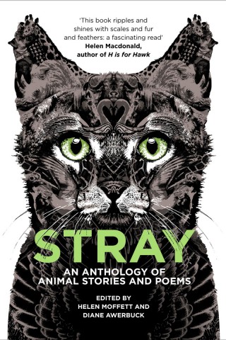 South African writers support their strays with new anthology
